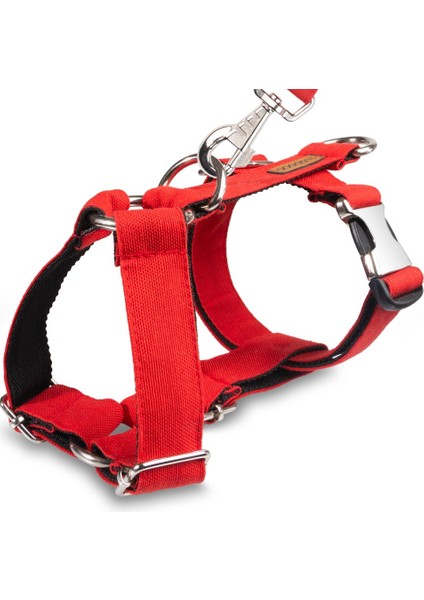 Köpek Tasma Seti Kırmızı Köpek Göğüs Tasması Köpek Gezdirme Halatı fiyatları