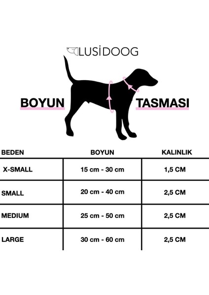 Lusi Doog Çiçekli Köpek Tasması Çiçek Aksesuarlı Köpek Boyun Tasması Dişi Köpeklere Özel Çiçekli Papyon Tasma