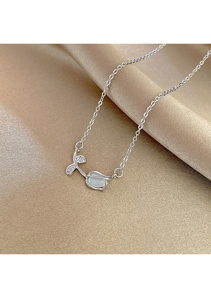 Kadın Kolye (Yurt Dışından)