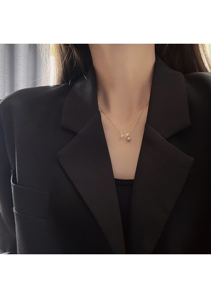 Kadın Kolye (Yurt Dışından)