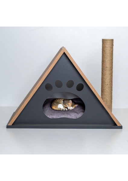 Kedi Penthouse