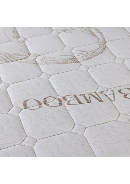 Silver Line Tek ve Çift Kişilik Full Ortopedik Yaylı Yatak fırsatları