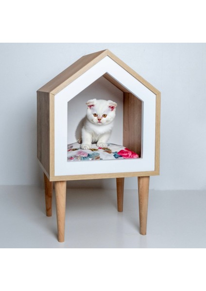 Kedi Veranda