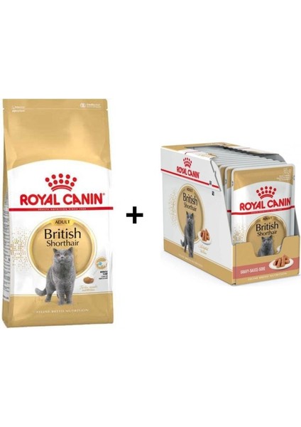 British Shorthair Yetişkin Kedi Maması 10 kg + 12 Adet Royal Canin British Shorthair Yaş Kedi Maması 85 gr