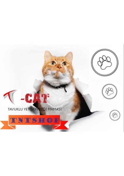 T-Cat Tavuklu Yetişkin Kedi Maması 2 Kg. fiyatları