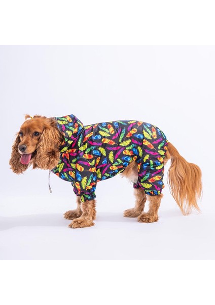 Plumis Fileli Su Geçirmez Küçük Irk Köpek Yağmurluk Tulum