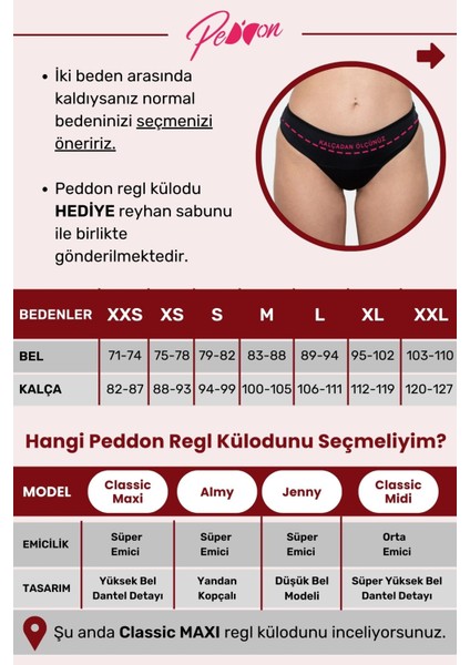 Süper Emici Cherry Regl Külodu Gece Adet Dönemi Sızdırmaz Sıvı Geçirmez Hijyenik Yıkanabilir Külot