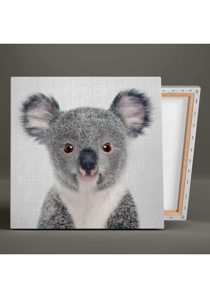 Şirin Penguen Tavşan ve Koala Çocuk Odası Üçlü Kombin 3lü Set Kanvas Tablo
