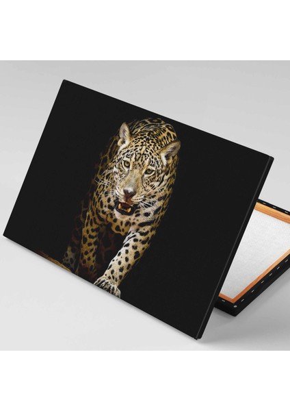 Vahşi Leopar Growling Leopard Afrika Aslan Yatay Kanvas Tablo