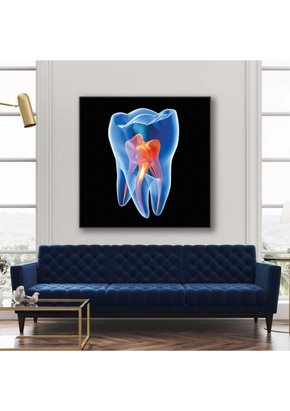 Diş Hekimi Ofisi Kanal Sinirler Dişçi Dentist Kare Kanvas Tablo
