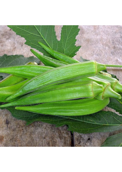 Zümrüt Okra Dikensiz Bamya Tohumu