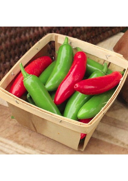 Serrano Tampiqueno Biber Tohumu Orta Acı fiyatları