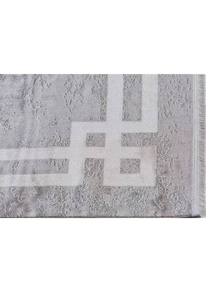 Tenom Premium 13117 Modern Dikdörtgen Çerçeveli Viskon Halı modelleri