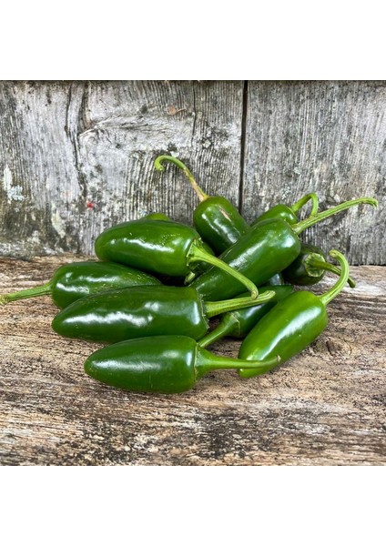 Erkenci Jalapeno Biber Tohumu Acı