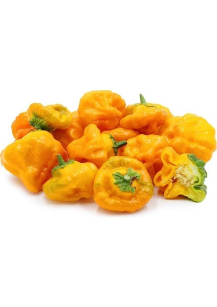 Acı Sarı Mantar Biber Tohumu Jamaican Yellow Mushroom fırsatları