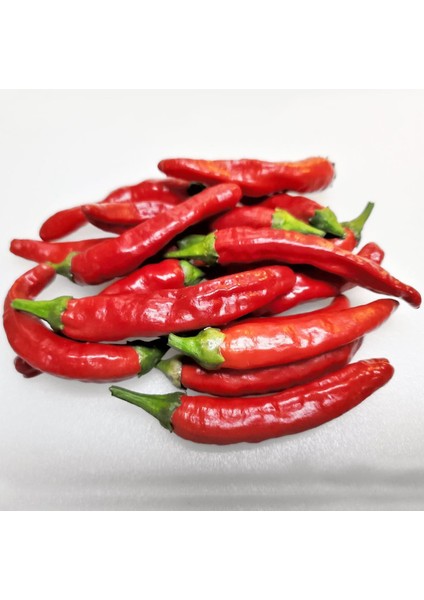 Onza Acı Biber Tohumu Capsicum Annuum