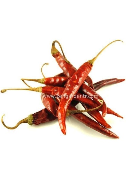 Acı Biber Tohumu Chili De Arbol Geleneksel
