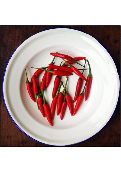 Piri Piri Chili Biberi Tohumu Capsicum Baccatum modelleri