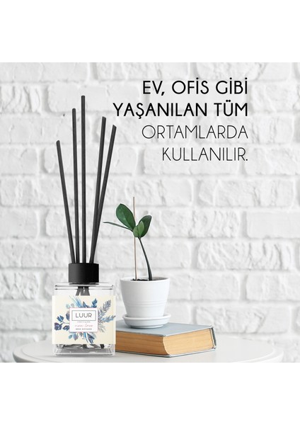 New Love Fiber Çubuklu Oda Kokusu 100 ml fiyatları