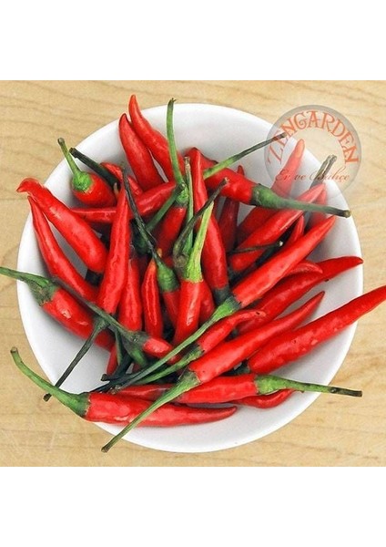 Kuş Gözü Acı Biber Tohumu Çok Yıllık