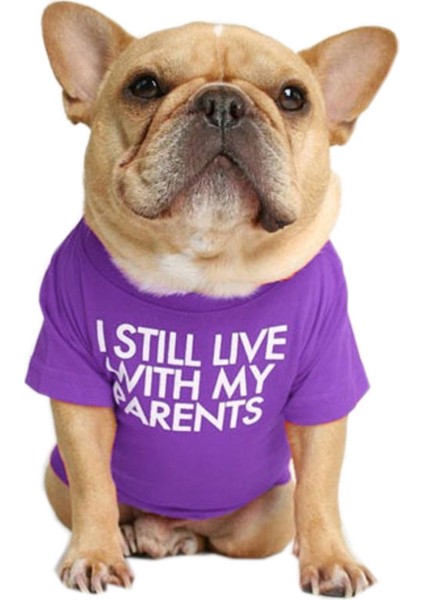 Evcil Hayvan Kıyafetleri Yuvarlak Yakalı Tişört Köpek Kıyafetleri (Yurt Dışından)