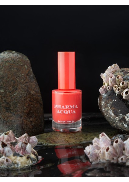 Fresh Nail Varnish 12 ml Oje - 64