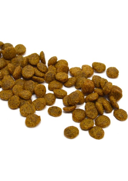 Bitkisel Orta ve Büyük Irk Kuru Köpek Maması