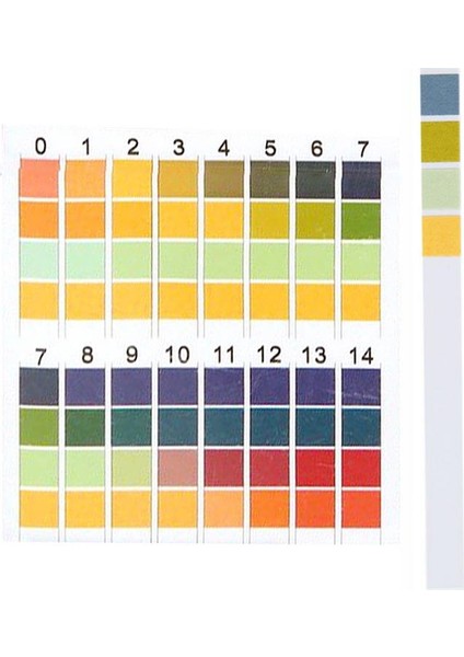 100 Şerit/kutu 0-14 Ph Test Şeritleri 0-14 Ölçekli Premium Turnusol Test Cihazı Kağıdı Test Ph Su Seviyesi Için Ideal (Yurt Dışından) indirimleri