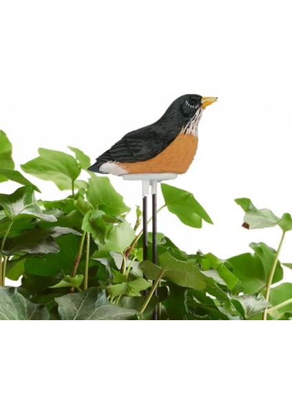 Sıcak Yeni Reçine Kuşlar Toprak Nem Ölçer Nem Test Cihazı Sensörü Kapalı Bonsai Bahçe Çiftliği Sulama Hatırlatma (Yurt Dışından) modelleri