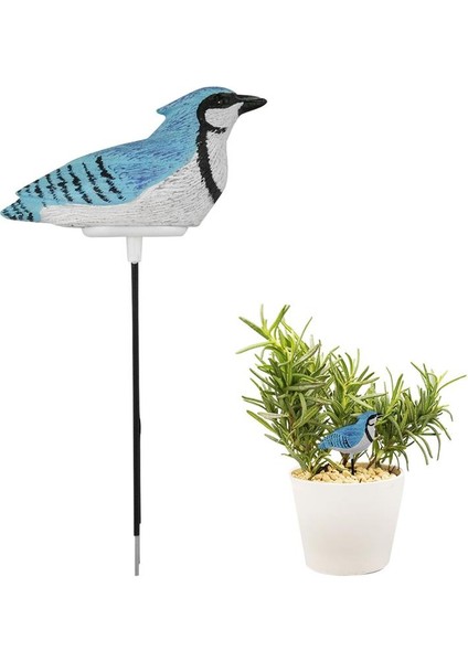 Reçine Kuşlar Toprak Nem Ölçer Monitör Sıcaklık Nem Test Cihazı Sensörü Kapalı Bonsai Bahçe Bitkileri Tarım (Yurt Dışından)