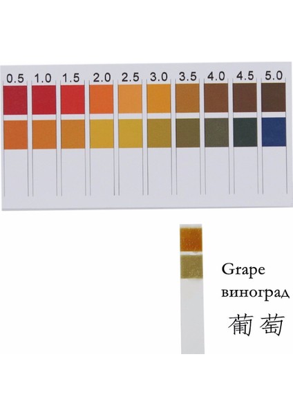 Evrensel Ph Test Kağıdı Şeritleri Araştırma Sağlığı, Laboratuvarlar Için Ph Ölçüm Aralığı 0,5-5 Idrar ve Tükürük 100 Şerit %40 Indirim (Yurt Dışından) indirimleri