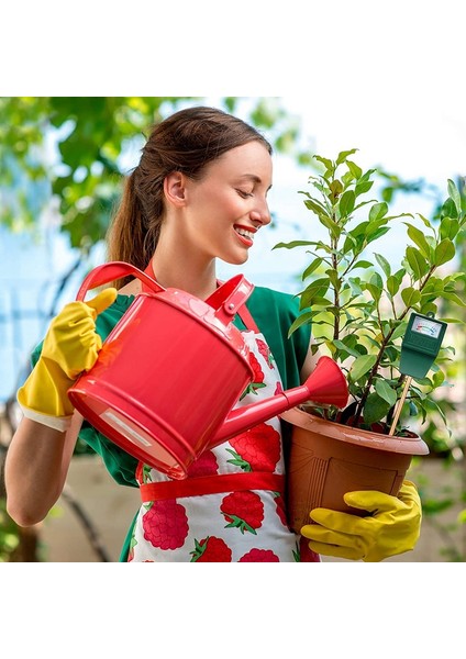 Oumery 2 Parça Toprak Ph Nem Ölçer Seti Toprak Nem Sensörü Higrometre Toprak Ph Ölçer Nem Test Cihazı Bahçe Alet Setleri (Yurt Dışından) indirimleri