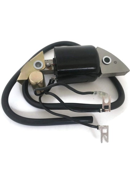 Motosiklet Ateşleme Bobini Honda G150 G200 G300 G400 30500-887-303 30560-883-015 Için Uygun (Yurt Dışından) fiyatları