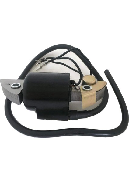 Motosiklet Ateşleme Bobini Honda G150 G200 G300 G400 30500-887-303 30560-883-015 Için Uygun (Yurt Dışından) indirimleri