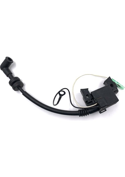 6BV-85571-01-00 Yamaha Dıştan Takma F4 4 Zamanlı Için Cdı ile Ateşleme Bobini Takma (Yurt Dışından)