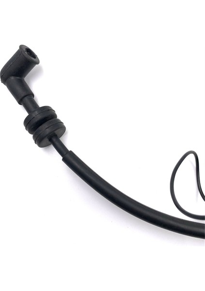 6BV-85571-01-00 Yamaha Dıştan Takma F4 4 Zamanlı Için Cdı ile Ateşleme Bobini Takma (Yurt Dışından)