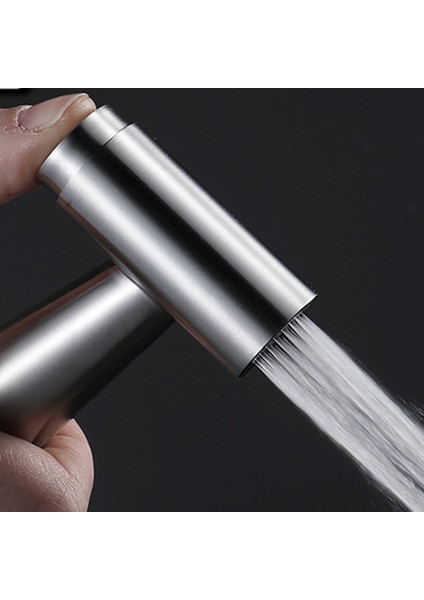 Paslanmaz Çelik El Bide Musluk Duş Bide Douche Sprey Tuvalet Shattaf Püskürtücü Duş Hortumu Duş Tabanı (Yurt Dışından) fırsatları