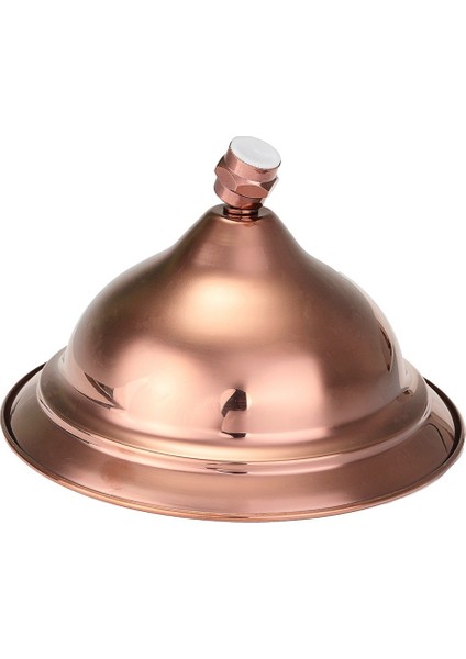 Pratik 8 Inç Retro Antik Kırmızı Bakır Yuvarlak Banyo Banyo Yağış Duş Başlığı Yeni (Yurt Dışından) modelleri