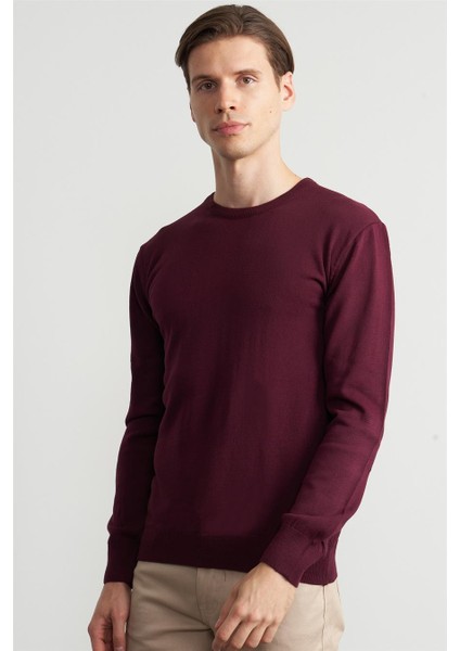 Çetinkaya Mentality K23 3175 Bisiklet Yaka Triko Basic Mürdüm