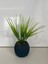 Mini Saksıda Yapay Çiçek Saz Grass Demeti Gerçek Yosunlu Mini Saksı Aranjman 3