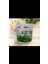 Aloe Vera Jel 2