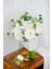 Beyaz Elegant PremiumGelin Buketi̇ 3