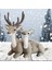2x Simülasyon Üstü Noel Gri (Yurt Dışından) 4