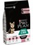 Small&mini Puppy Somonlu Köpek Maması - 3 kg 1