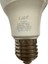 CT-4277 9W 7876K (Yeşil) E27 Duylu LED Ampul 4