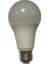 CT-4259 12W 6400K (Beyaz Işık) Sensörlü E27 Duylu LED Ampul 3