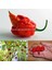Trinidad Scorpion Çok Acı Biber Tohumu Akrep Biberi 2