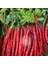 Cayenne Kırmızı Kıl Biber Tohumu Chili Pepper Çok Acı 1