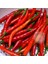 Cayenne Kırmızı Kıl Biber Tohumu Chili Pepper Çok Acı 3
