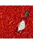 Tabasco Acı Biber Tohumu 1